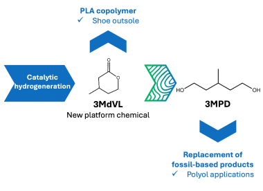 NEXT-STEP-Project-Structure-responsive-2